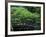 Footbridge in Japanese Garden, Portland, Oregon, USA-Adam Jones-Framed Photographic Print