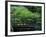 Footbridge in Japanese Garden, Portland, Oregon, USA-Adam Jones-Framed Photographic Print