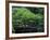 Footbridge in Japanese Garden, Portland, Oregon, USA-Adam Jones-Framed Photographic Print