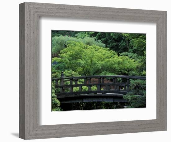 Footbridge in Japanese Garden, Portland, Oregon, USA-Adam Jones-Framed Photographic Print