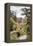 Footbridge, Near Porlock, Somerset-Alfred Robert Quinton-Framed Premier Image Canvas