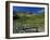 Footbridge over Oxendale Beck Near Crinkle Crags, Lake District National Park, Cumbria, England, UK-Maxwell Duncan-Framed Photographic Print