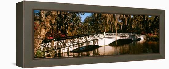 Footbridge over Swamp, Magnolia Plantation and Gardens, Charleston, South Carolina, USA-null-Framed Premier Image Canvas