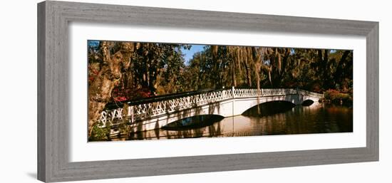 Footbridge over Swamp, Magnolia Plantation and Gardens, Charleston, South Carolina, USA-null-Framed Photographic Print