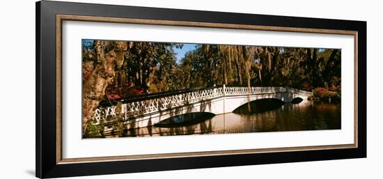Footbridge over Swamp, Magnolia Plantation and Gardens, Charleston, South Carolina, USA-null-Framed Photographic Print