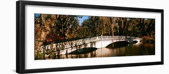 Footbridge over Swamp, Magnolia Plantation and Gardens, Charleston, South Carolina, USA-null-Framed Photographic Print