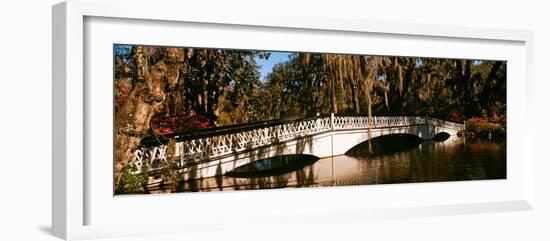 Footbridge over Swamp, Magnolia Plantation and Gardens, Charleston, South Carolina, USA-null-Framed Photographic Print