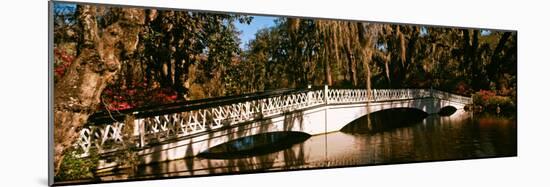 Footbridge over Swamp, Magnolia Plantation and Gardens, Charleston, South Carolina, USA-null-Mounted Photographic Print