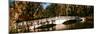 Footbridge over Swamp, Magnolia Plantation and Gardens, Charleston, South Carolina, USA-null-Mounted Photographic Print