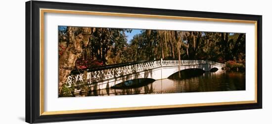 Footbridge over Swamp, Magnolia Plantation and Gardens, Charleston, South Carolina, USA-null-Framed Photographic Print