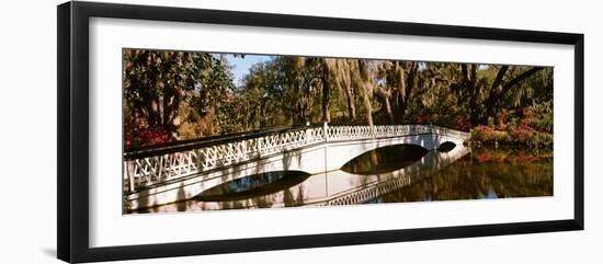 Footbridge over Swamp, Magnolia Plantation and Gardens, Charleston, South Carolina, USA-null-Framed Photographic Print