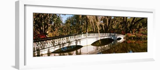 Footbridge over Swamp, Magnolia Plantation and Gardens, Charleston, South Carolina, USA-null-Framed Photographic Print