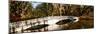 Footbridge over Swamp, Magnolia Plantation and Gardens, Charleston, South Carolina, USA-null-Mounted Photographic Print
