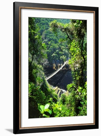 Footbrige over Storms River, Tsitsikamma National Park, South Africa-Amanda Hall-Framed Photographic Print