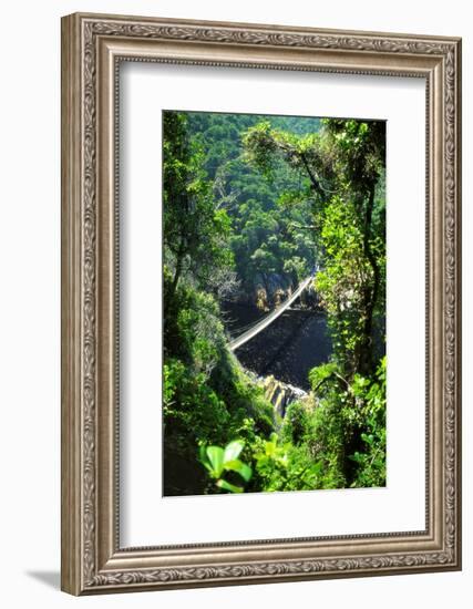 Footbrige over Storms River, Tsitsikamma National Park, South Africa-Amanda Hall-Framed Photographic Print