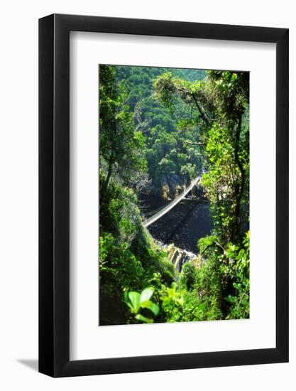 Footbrige over Storms River, Tsitsikamma National Park, South Africa-Amanda Hall-Framed Photographic Print