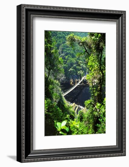 Footbrige over Storms River, Tsitsikamma National Park, South Africa-Amanda Hall-Framed Photographic Print