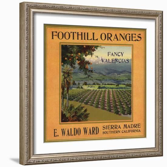 Foothill Oranges Brand - Sierra Madre, California - Citrus Crate Label-Lantern Press-Framed Art Print