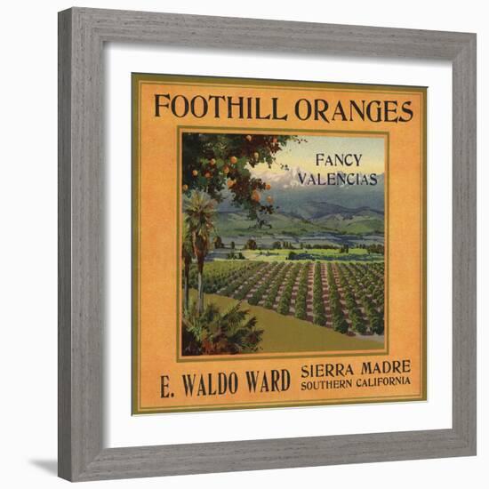 Foothill Oranges Brand - Sierra Madre, California - Citrus Crate Label-Lantern Press-Framed Art Print