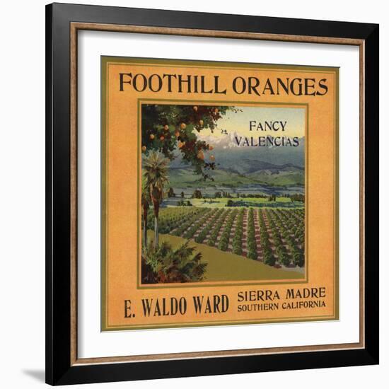 Foothill Oranges Brand - Sierra Madre, California - Citrus Crate Label-Lantern Press-Framed Art Print