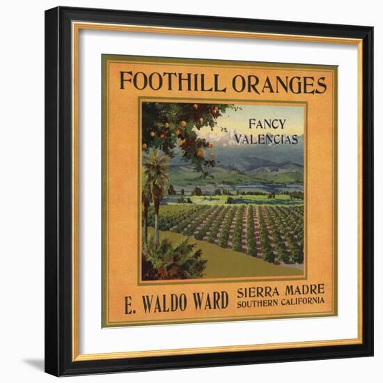 Foothill Oranges Brand - Sierra Madre, California - Citrus Crate Label-Lantern Press-Framed Art Print
