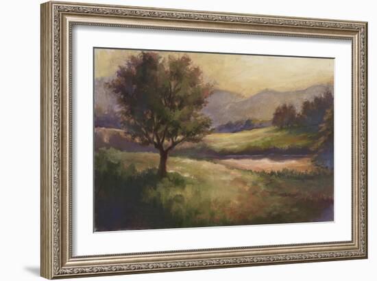 Foothills of Appalachia I-Ethan Harper-Framed Art Print