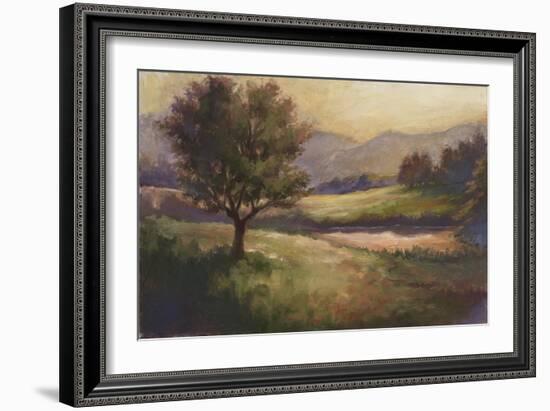 Foothills of Appalachia I-Ethan Harper-Framed Art Print