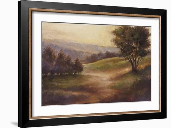 Foothills of Appalachia II-Ethan Harper-Framed Art Print