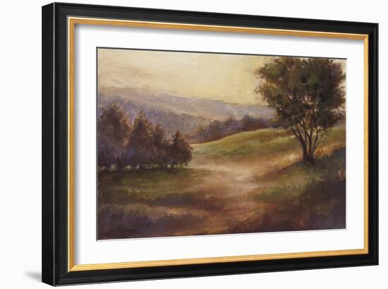 Foothills of Appalachia II-Ethan Harper-Framed Art Print