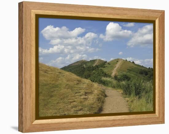 Footpath Along the Main Ridge of the Malvern Hills, Worcestershire, Midlands, England-David Hughes-Framed Premier Image Canvas