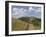 Footpath Along the Main Ridge of the Malvern Hills, Worcestershire, Midlands, England-David Hughes-Framed Photographic Print