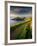 Footpath Along the Rumps, Pentire Point, Near Polzeath, Cornwall, UK-Ross Hoddinott-Framed Photographic Print