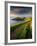 Footpath Along the Rumps, Pentire Point, Near Polzeath, Cornwall, UK-Ross Hoddinott-Framed Photographic Print