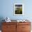 Footpath Along the Rumps, Pentire Point, Near Polzeath, Cornwall, UK-Ross Hoddinott-Framed Photographic Print displayed on a wall