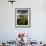 Footpath Along the Rumps, Pentire Point, Near Polzeath, Cornwall, UK-Ross Hoddinott-Framed Photographic Print displayed on a wall