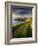 Footpath Along the Rumps, Pentire Point, Near Polzeath, Cornwall, UK-Ross Hoddinott-Framed Photographic Print