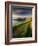 Footpath Along the Rumps, Pentire Point, Near Polzeath, Cornwall, UK-Ross Hoddinott-Framed Photographic Print