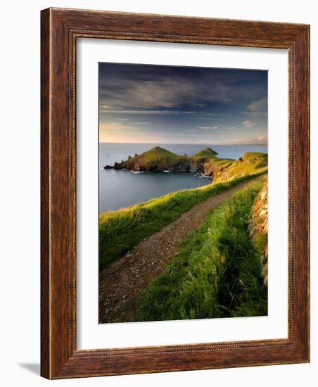 Footpath Along the Rumps, Pentire Point, Near Polzeath, Cornwall, UK-Ross Hoddinott-Framed Photographic Print