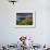 Footpath Along the Rumps, Pentire Point, Near Polzeath, Cornwall, UK-Ross Hoddinott-Framed Photographic Print displayed on a wall