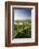 Footpath and style through fields, Raddon Hill, Mid Devon, England. Summer (July) 2009-Adam Burton-Framed Photographic Print