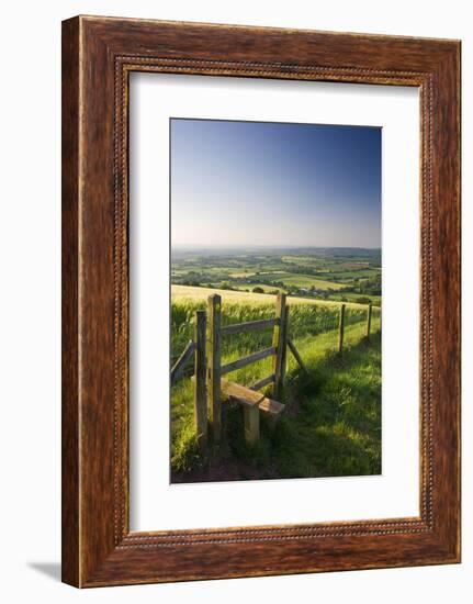 Footpath and style through fields, Raddon Hill, Mid Devon, England. Summer (July) 2009-Adam Burton-Framed Photographic Print