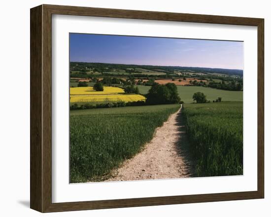 Footpath, Heaversham, Near Sevenoaks, North Downs, Kent, England, United Kingdom-David Hughes-Framed Photographic Print
