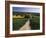 Footpath, Heaversham, Near Sevenoaks, North Downs, Kent, England, United Kingdom-David Hughes-Framed Photographic Print