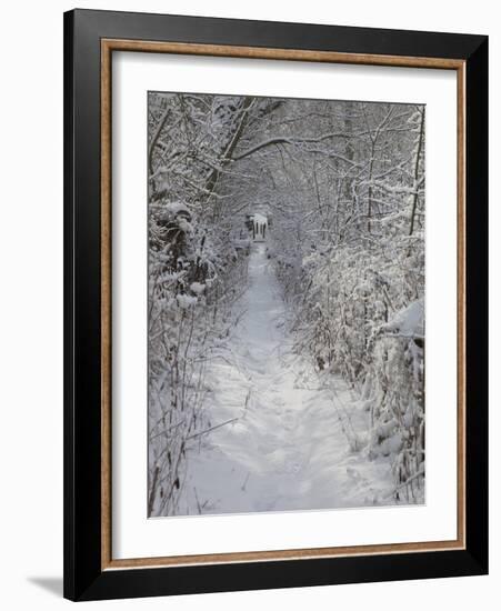 Footpath Near Haddon Hall in Winter, Derbyshire, England, United Kingdom, Europe-Frank Fell-Framed Photographic Print