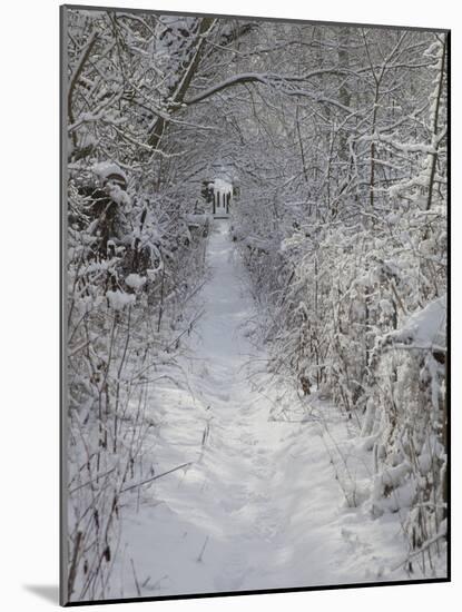 Footpath Near Haddon Hall in Winter, Derbyshire, England, United Kingdom, Europe-Frank Fell-Mounted Photographic Print