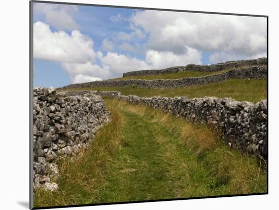 Footpath on the Dales Way, Grassington, Yorkshire Dales National Park, North Yorkshire, England, UK-White Gary-Mounted Photographic Print