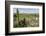 Footpath Sign and Stone Stile with Dry Stone Wall, Near Alstonefield, Peak District National Park-Eleanor Scriven-Framed Photographic Print