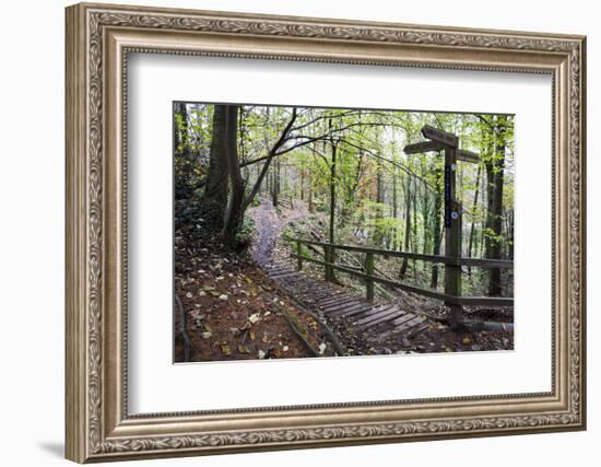 Footpath Sign at Milners Fork in Nidd Gorge Woods Near Bilton-Mark Sunderland-Framed Photographic Print