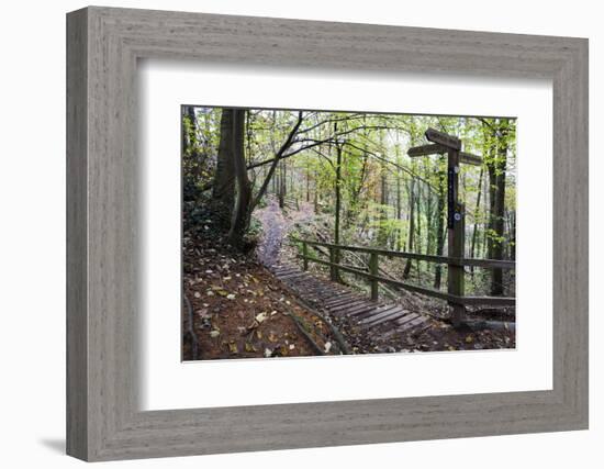 Footpath Sign at Milners Fork in Nidd Gorge Woods Near Bilton-Mark Sunderland-Framed Photographic Print