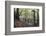 Footpath Sign at Milners Fork in Nidd Gorge Woods Near Bilton-Mark Sunderland-Framed Photographic Print